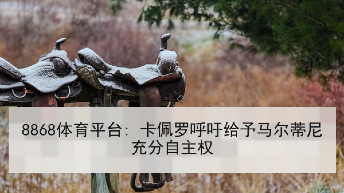 8868体育平台: 卡佩罗呼吁给予马尔蒂尼充分自主权