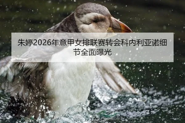 zhu-ting-nian-yi-jia-nv-pai-lian-sai-zhuan-hui-ke-nei-li-ya-nuo-xi-jie-quan-mian-bao-guang-2-647.jpg